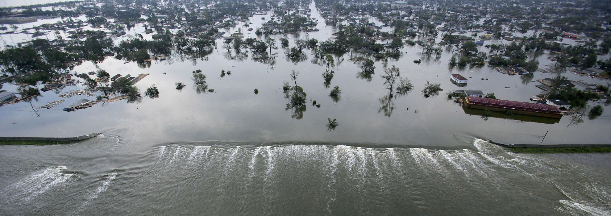 Aerial Surveys in California